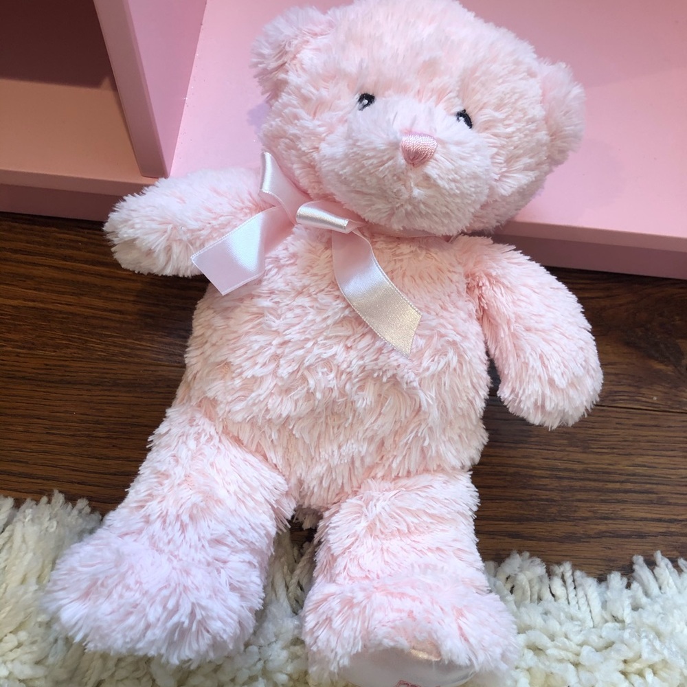 Gund My First Teddy stuffed animal